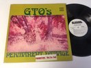 G.T.O.’s LP RARE Permanent Damage WLP PROMO ZAPPA