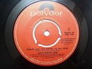 OLIVIA NEWTON JOHN ONJ 2001 249   rare SINGLE 7