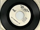 The Commons, LTD Roses Are Red/ Change The World garage orig 1966 US 7