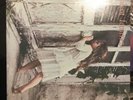 Violent femmes LP