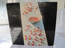 Paul McCartney , McCartney LP  IN NEAR MINT Beatles spanish import  odeon label