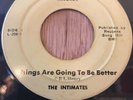 THE INTIMATES lofi basement deep soul 45 Things Are Going To Be Better  Natural