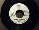 northern soul HARVEY Any Way You Wanta TRI PHI 100 M- listen