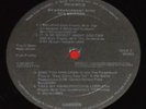 Elvis 