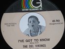 Doo Wop 45 THE DEL VIKINGS We Three / I've Got To Know Gateway CLEAN 7