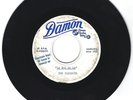 THE BLUEBOYS (BLUE THINGS) -1965-DAMON DEMO RECORD-ONLY 5 MADE-PLUS EXTRAS-RARE