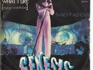 45 GENESIS I Know what I like/Twilight Alehouse * Made in Italy