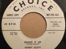 Original Sandy Scott, Shake It Up 45, rockabilly