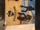Motorhead - Ace Of Spades. BRON 531. VG+/G. 1st UK Press Vinyl Record LP.
