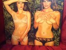 Roxy Music Country Life 12
