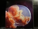 Motrip - Embryo     2 LPs