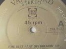 Roni Griffith- The Best Part Of Breakin Up/Love Is A Drug 12