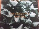 Kate Bush The Single File Box Set VG++ 13 Singles 7