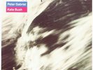 Peter Gabriel And Kate Bush , Don't Give Up   Vinyl Record/LP *USED*