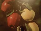 The Washington Apple Fresh Country Apples lp rare Sealed Private Soft Psych