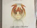 Kings of Leon Limited Release Vinyl - Aha Shake Heartbreak #176 of 300