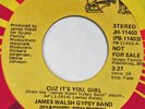 JAMES WALSH GYPSY BAND Cuz It’s You Girl RCA 45 northern soul 1978 VG++ HEAR