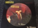 Nirvana In Bloom 12in Limited Edition Picture Disc