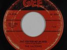 Doo-Wop 45 - Valtones - Have You Ever Met An Angel - Gee - mp3