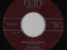Doo-Wop Teen 45 - Kodoks - Teenagers Dream - Fury - mp3