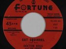 Blues R&B 45 - Doctor Ross & The Orbits - Cat Squirrel - Fortune - mp3