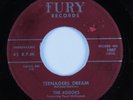 Doo Wop R&B 45 KODOKS Teenagers Dream FURY HEAR