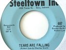 ROBERT LEE & THE EXQUISITES - Tears Are Falling - 45 SOUL FUNK/SWEET rare