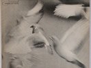 DONALD BYRD: Free Form USA Blue Note 4118 Mono RVG Jazz LP Wayne Shorter HEAR