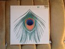 XTC Apple Venus LP