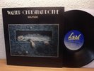 WALTER CHRISTIAN ROTHE - SOLITUDE - ELECTRONIC KRAUT ROCK IN MINT