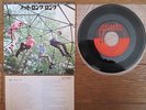 NAZZ Not Wrong Long JAPAN 7