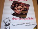 ROSE TATTOO SUPERB UK RECORD COMPANY PROMO POSTER 