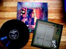 JONI MITCHELL - NEWPORT FOLK FESTIVAL 1969 - VINYL LP - MINT