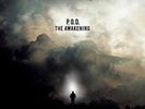 P.O.D.: The Awakening LP