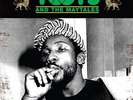 TOOTS & THE MAYTALS PRESSURE DROP GOLDEN TRACKS LP VINYL NEW (US)