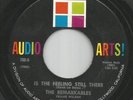 Northern Soul - Remarkables - Is The Feeling Still There - Audio Arts - US