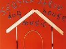 Seasick Steve-Dog House Music  VINYL NEW
