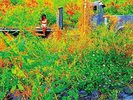 Jhene Aiko – TRIP DOUBLE ORANGE VINYL NEW/ MINT (2NDFEB)
