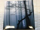 TRENTEMÖLLER - THE LAST RESORT  Vinyl 2LP