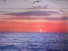 BROTHER AH/THE SOUNDS OF AWARENESS - Key To Nowhere - Vinyl (LP)