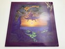 The Dukes Of Stratosphear - Psonic Psunspot - Gatefold Vinyl LP - A1B2 - EX