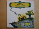 Vinyl 13th Floor Elevators  