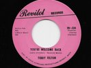 Terry Felton - You're Welcome Back / I Don't Want To Have To Wait (Soul, 45)