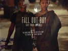 Fall Out Boy - Save Rock and Roll LP [Vinyl New] 10 Inch Clear Red 2 Discs 2013