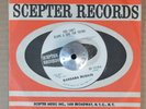 NORTHERN SOUL 45 - BARBARA RUSKIN - YOU CAN'T BLAME A GIRL FOR TRYING VG++ Hear