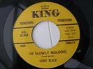CODY BLACK - I,M SLOWLY MOLDING