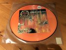 Slayer Pic LP Hell Awaits