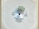 GARAGE PSYCH 45 - SIR RALEIGH - TOMORROWS GONNA BE ANOTHER DAY PROMO Jerden Hear