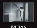 BAUHAUS In A Flat Field Vinyl LP With CD Insert REMASTERED NEW & SEALED