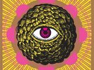 THE BEGINNER'S MYND Don't Lose Your Mind vinyl LP + MP3 NEW garage punk psych